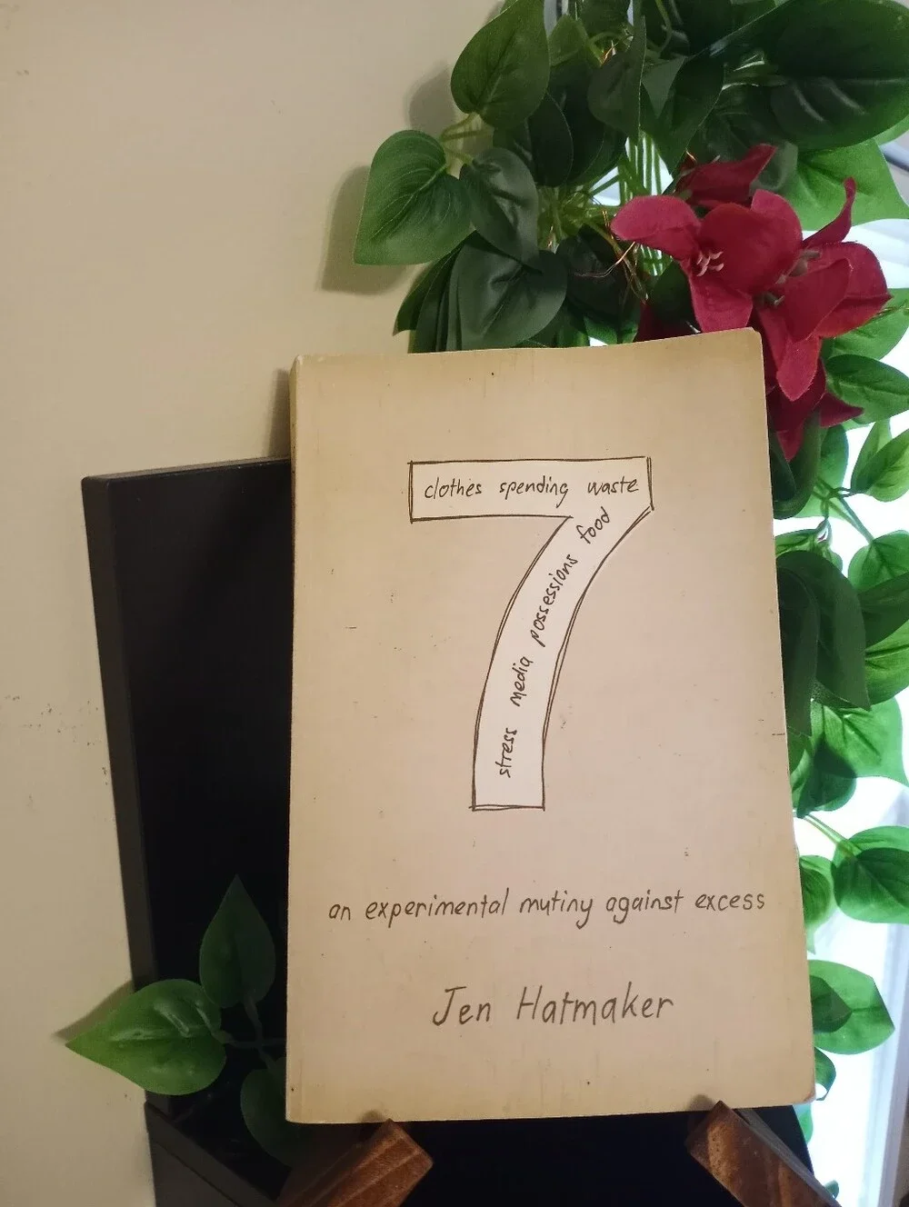 7: An Experimental Mutiny Against Excess by Jen Hatmaker